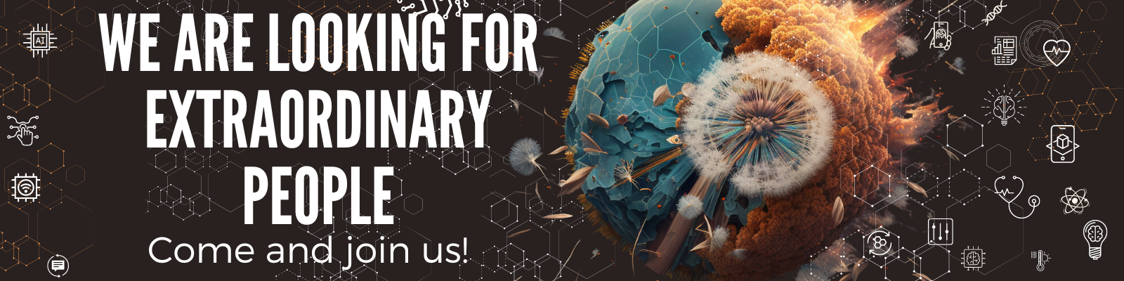 We are looking for Extraordinary people