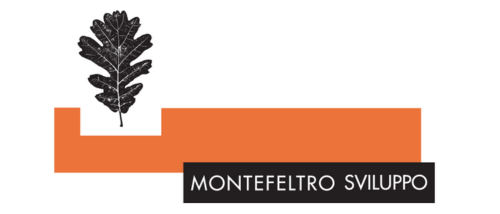 MONTEFELTRO SVILUPPO SCARL (MOFE)