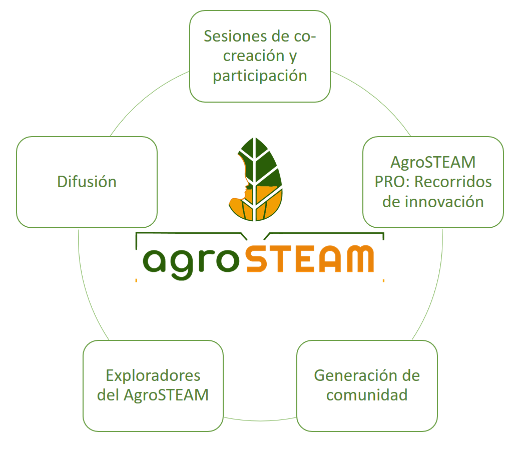 Imagen decorativa