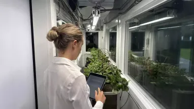 Simulador Climático