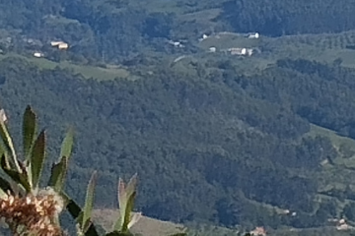 La Princesa de Asturias hace entrega del Premio al Pueblo Ejemplar al Valle de Arroes, Peón y Candanal