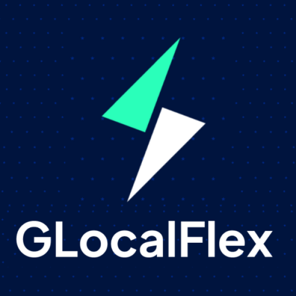 GLocalFlex